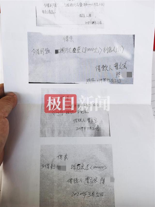 疫情突袭下的陕西山阳蛇农：养殖场关闭，补偿款成争议