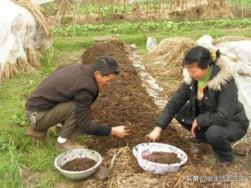 养殖蚯蚓每亩地年入几万很正常，比种地或者打工强！这个不是骗局