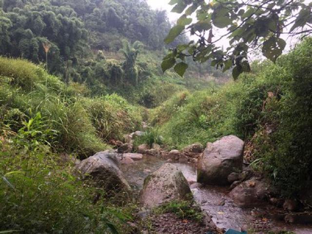 河道退水过后，有一种鱼开始泛滥了，红色的尾巴很值钱