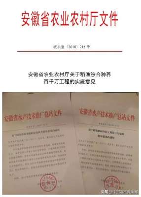 梯田养殖小龙虾(稻田养小龙虾很火，但你可能已触碰了红线，农业农村部已正式发文规定想养好虾、赚大钱，要