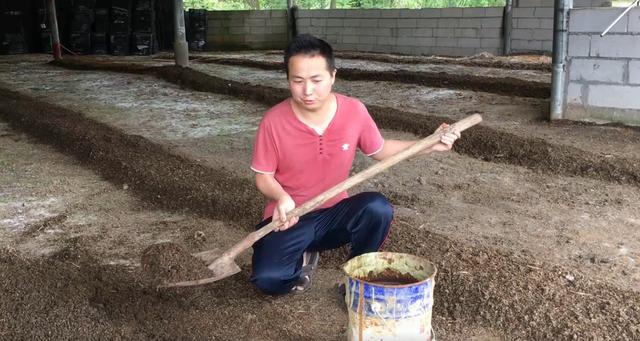 东哥教你养蚯蚓，一个废桶一把野草，学会后钓鱼有用不完的蚯蚓