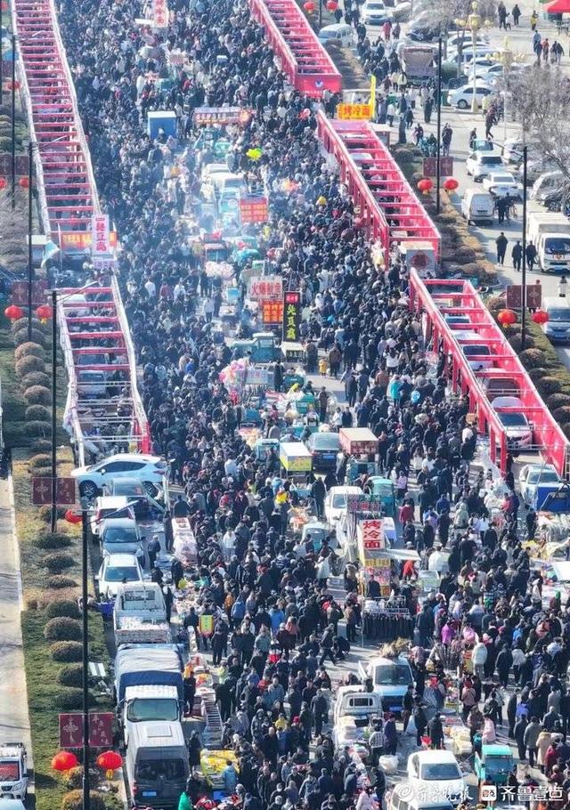 一年赶一次，赶了500年！平原恩城鸽子会玩法“升级”很国潮