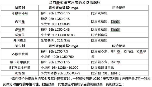 养虾需有“稻”—— 虾稻田水稻管理的意义和建议