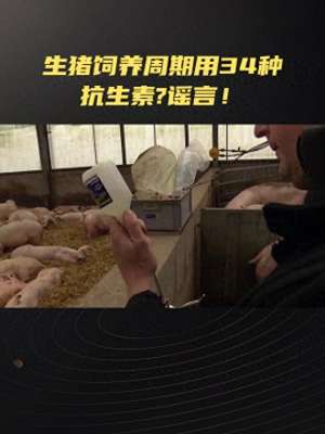 猪养殖技术与防疫视频(生猪140天饲养周期内用34种抗生素？生猪饲养周期内无法避免？)