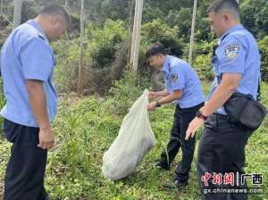 南宁野生养殖场(南宁市武鸣区养殖场内“蛇出没” 民警捕获放生)