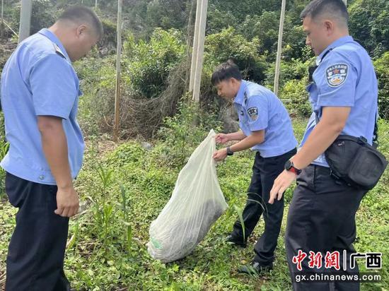 南宁市武鸣区养殖场内“蛇出没” 民警捕获放生