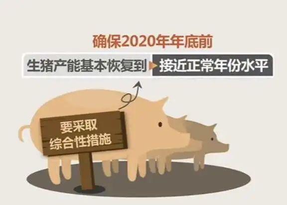 “真金白银”又来了！2021年每头出栏生猪将补贴10元