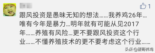 养1万蛋鸡一年收入100万？网友：赚大发了！蛋友：别再骗人养鸡了