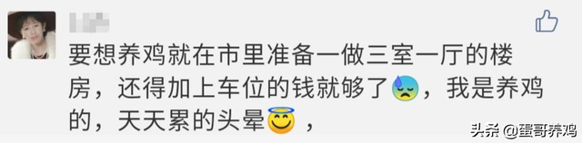 养1万蛋鸡一年收入100万？网友：赚大发了！蛋友：别再骗人养鸡了