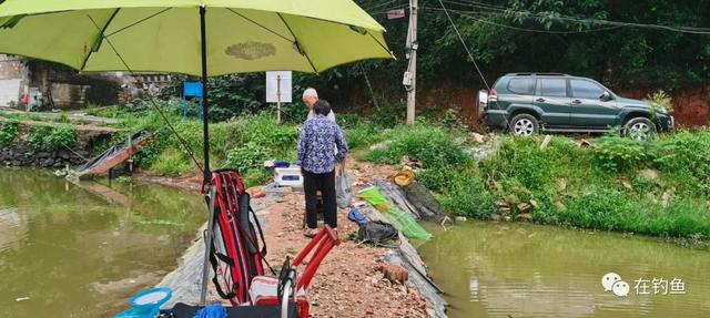 第2期〡雨花区两个钓场，可台钓可路亚都很全能！离得还不远