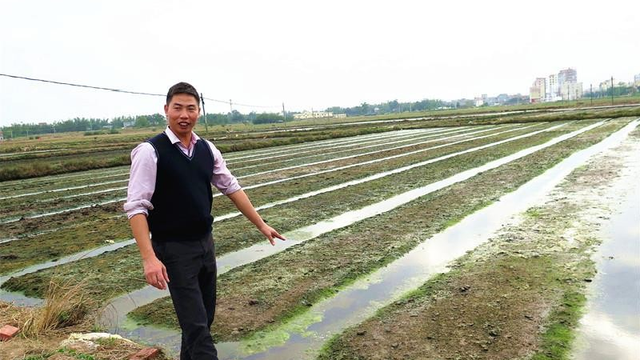 泥里钻出土宝贝！这条村养殖泥丁身价不差，市场普遍看好