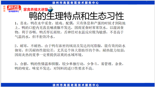 最新养鸭育雏期饲养管理鸭苗1到10天的养殖技术种鸭的饲养与管理