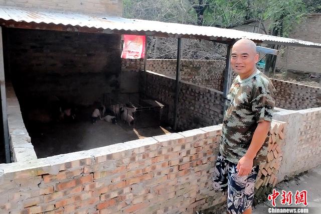 小香猪 大梦想 这个在校大学生让1800户农民脱贫