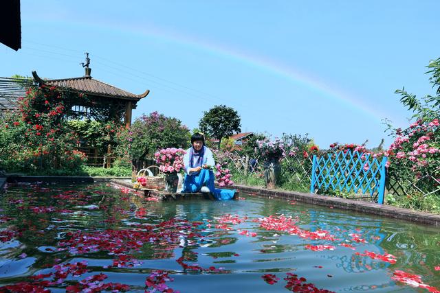 蔷薇花海格桑花海莲花花海！这个小山村不同季节吸引游客有绝招