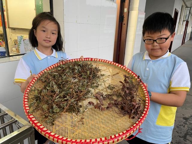 杀鸡取卵！“捕蝎子大军”横扫贺兰山，几千吨蝎子被端上餐桌