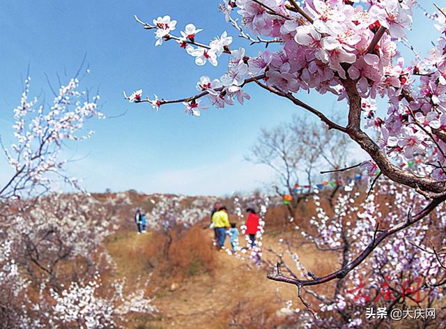 首发体验团畅享草原撒欢之旅