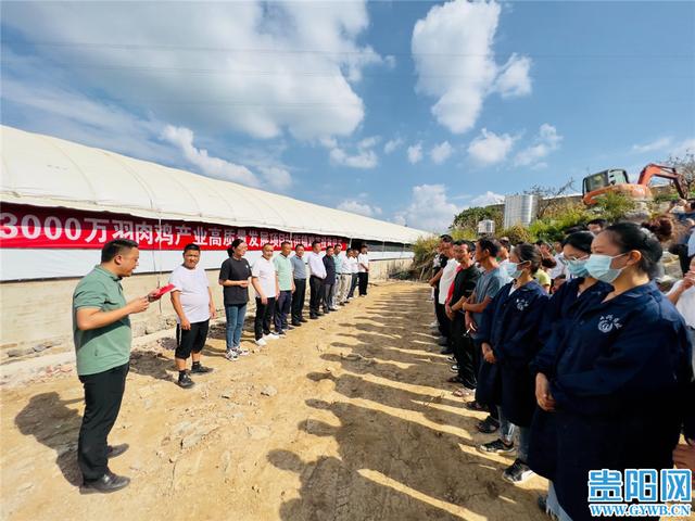 产业增规模 发展添底气！清镇市3000万羽肉鸡产业高质量发展项目首批鸡苗投产侧记