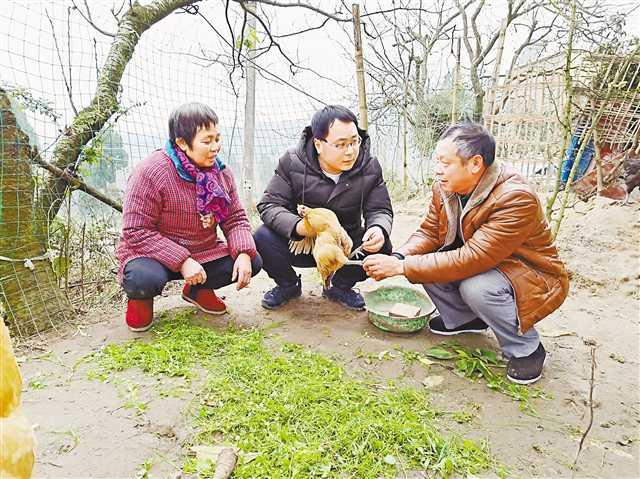 松榜村产业有了“两荤两素”