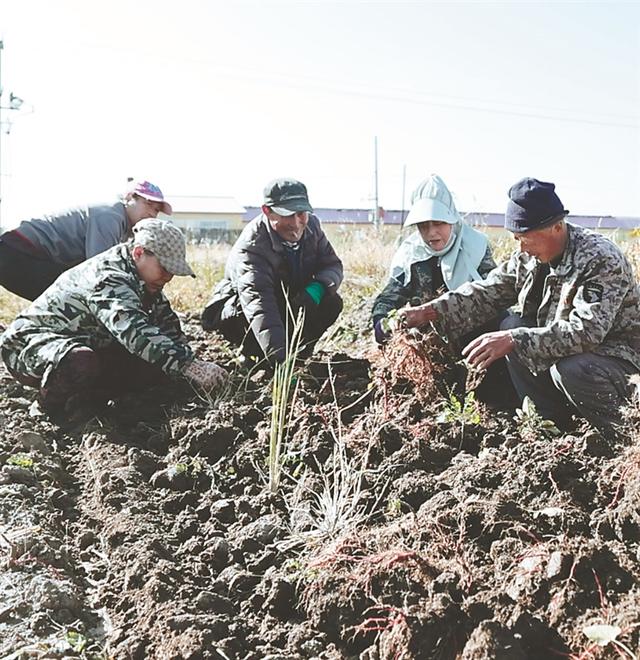 方正 乡村百业旺 振兴底气足