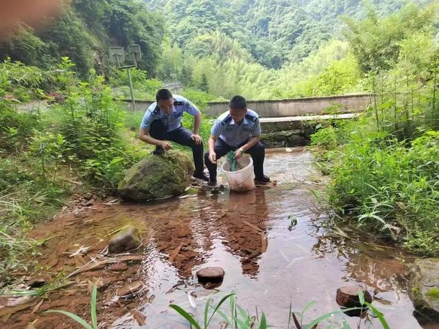 “合江棘蛙”是“三有”保护动物，抓不得！