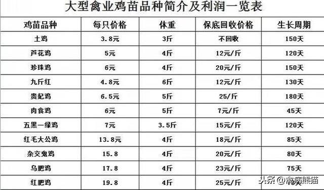 现在合同养鸡，养合同鸡，真正的套路你了解多少？