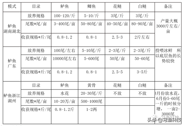 鲈鱼养殖技术之成鱼养殖