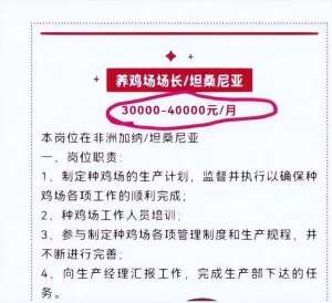 青岛肉鸡养殖工作(追热点丨冲上热搜青岛一企业月薪4万招人养鸡？真的但要求……)