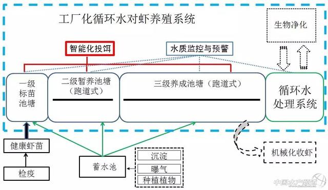 干货+详细流程！南海所专家来支招，想做工厂化养虾，看这一篇就够了