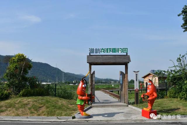 浙江湖屿村推广稻虾综合种养模式 开创稳粮增收致富路