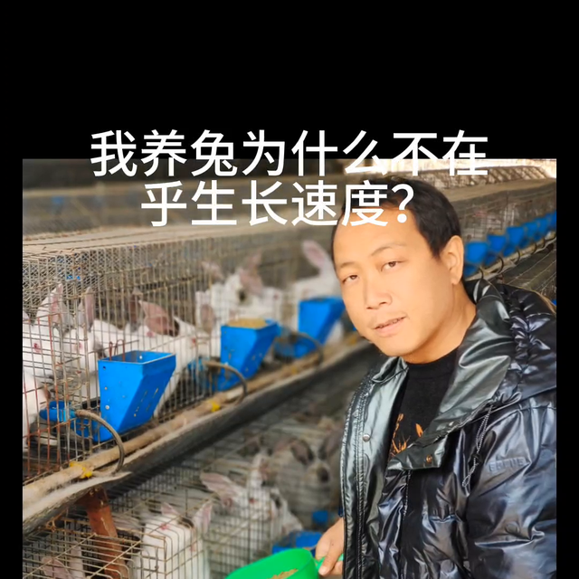 养兔，不必在乎兔子生长速度…#肉兔养殖