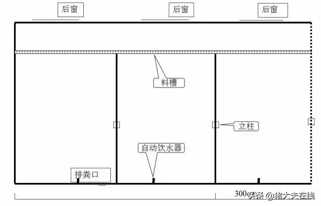 养猪人需要的好资料！高大上的猪舍布局设计图，看过决不后悔