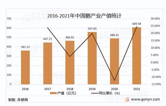 2023鹅养殖行业报告：鹅养殖行业市场分析及前景预测