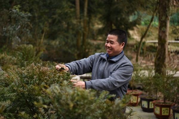 贵州松桃：珍稀植物“种”出致富路