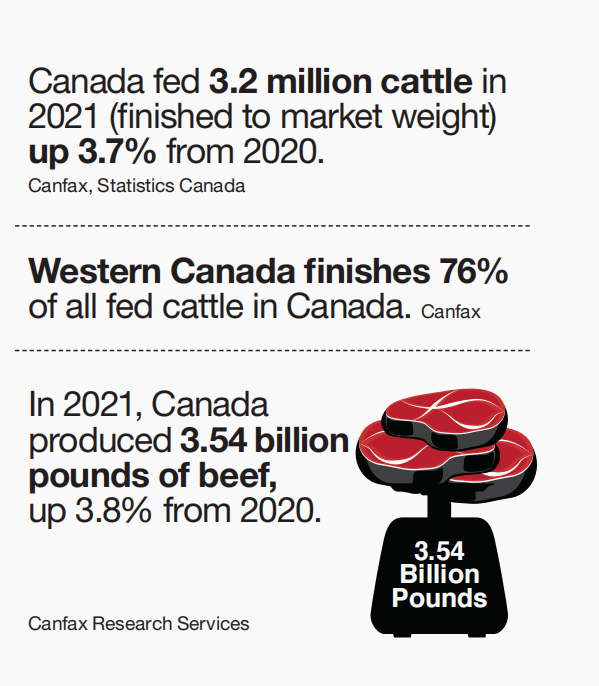 2021加拿大养牛业：草原三省占总养殖量76%，近七成牛肉去美国