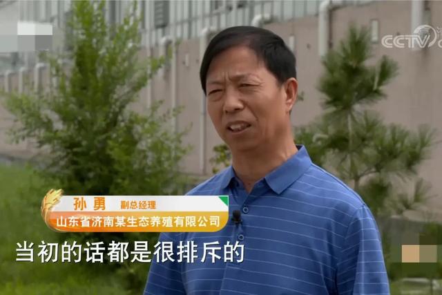 山东男子养殖10亿只蟑螂，鱼菜鸡都离不开它，如今一年收入上千万