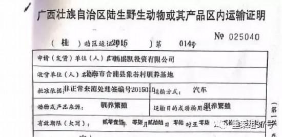 穿山甲养殖乱象频发 为增重活体穿山甲被灌水泥浆