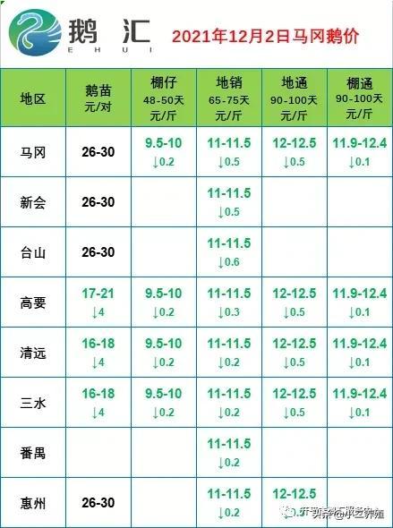 12月2日，鹅苗报价