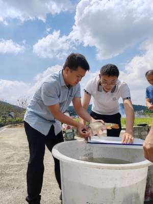 遵义青蛙养殖(稻米香，鱼儿壮遵义25万亩“稻+鱼”高产示范点喜迎丰收)