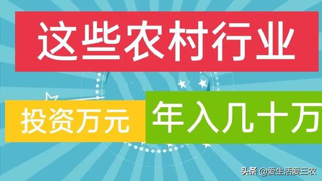 分享五个投资小、利润高的农村小型加工厂，建议收藏