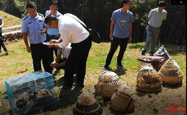 血色山谷：濒危动物上餐桌 一起命案牵出买卖野生动物大案，猎户收购商食客37人获刑