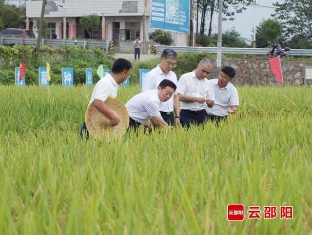 何寄华在邵阳调研时强调：抓好“规划、基础、产业、人才”建设，助推乡村振兴