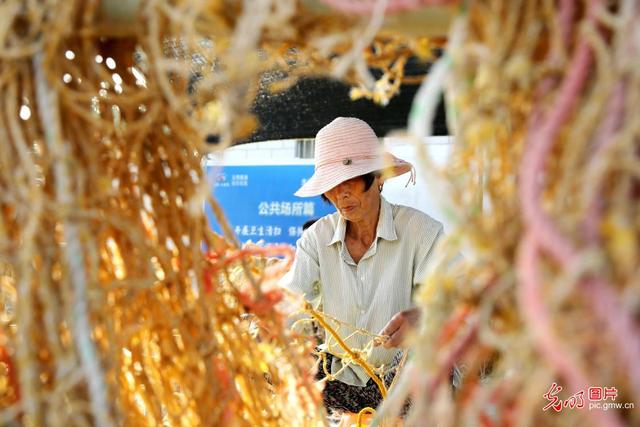 连云港：沿海紫菜养殖备耕忙