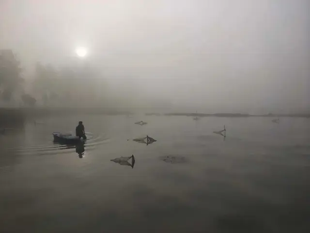 喷香的虾稻米、鲜美的小龙虾、芳香的油菜花，阜南白集村就在这里