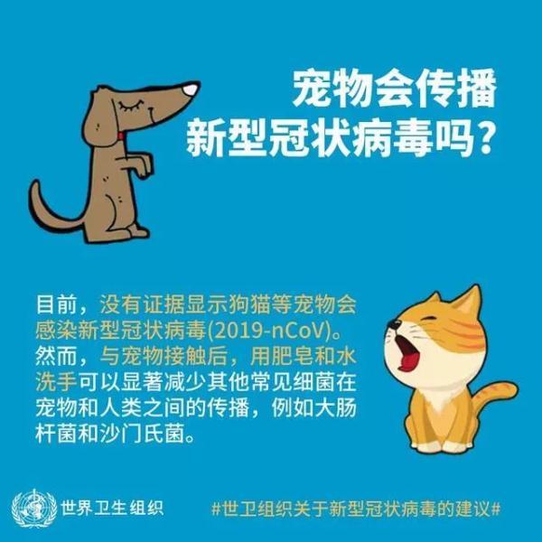 非常时期，如何给家里的猫猫狗狗做好防护？