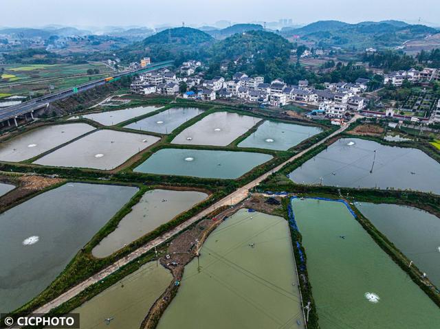 多种养殖助增收