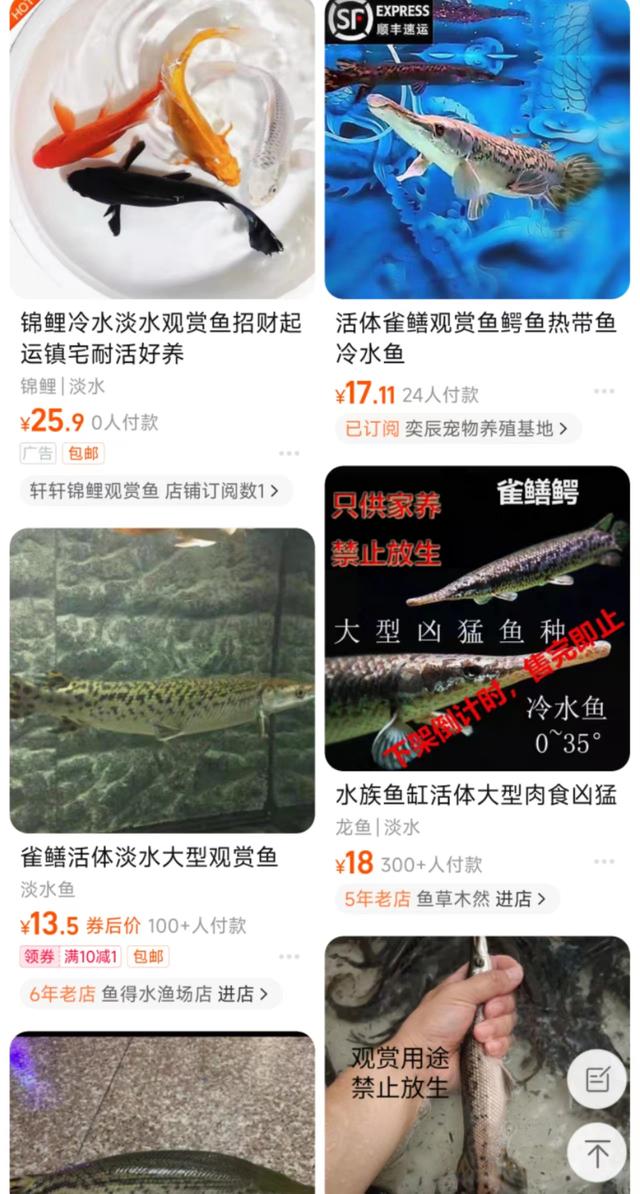 电商平台仍可买到鳄雀鳝，专家呼吁加强外来物种全过程监管