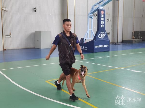 探访南京消防搜救犬训练基地 原来神勇搜救犬是这样炼成的