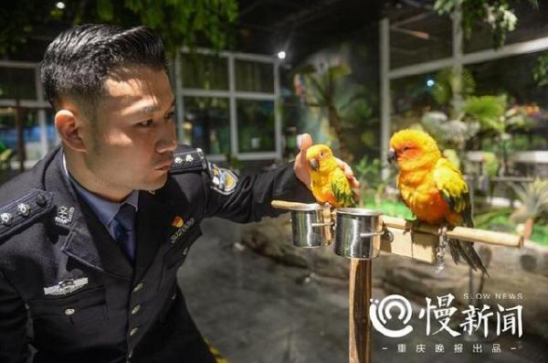 环保警察来了 麻雀、青蛙、蟾蜍、野鸡、野兔……你抓一只都违法了