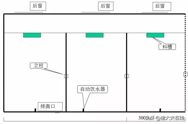 养猪人需要的好资料！高大上的猪舍布局设计图，看过决不后悔