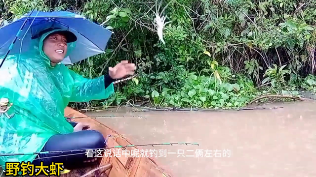 下雨天野河流野钓最大淡水虾罗氏沼虾，看小伙钓虾的技术咋样